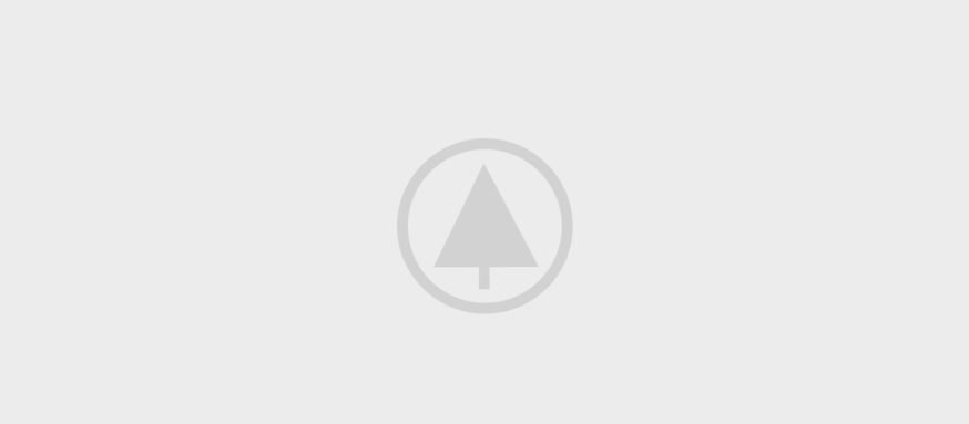 wood-gallery-placeholder-5 wood-gallery-placeholder-5